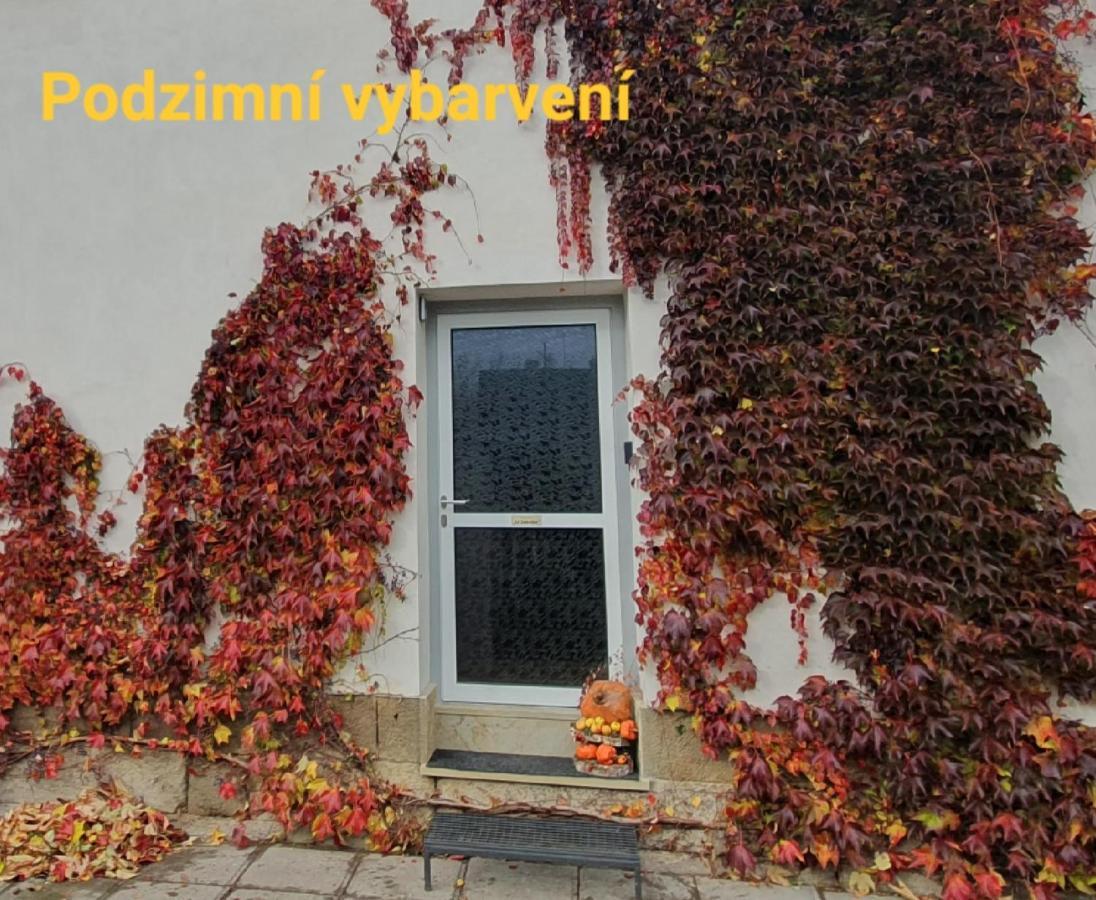 Apartman U Jakuba ดวูร์กราโลเว นัด ลาเบม ภายนอก รูปภาพ