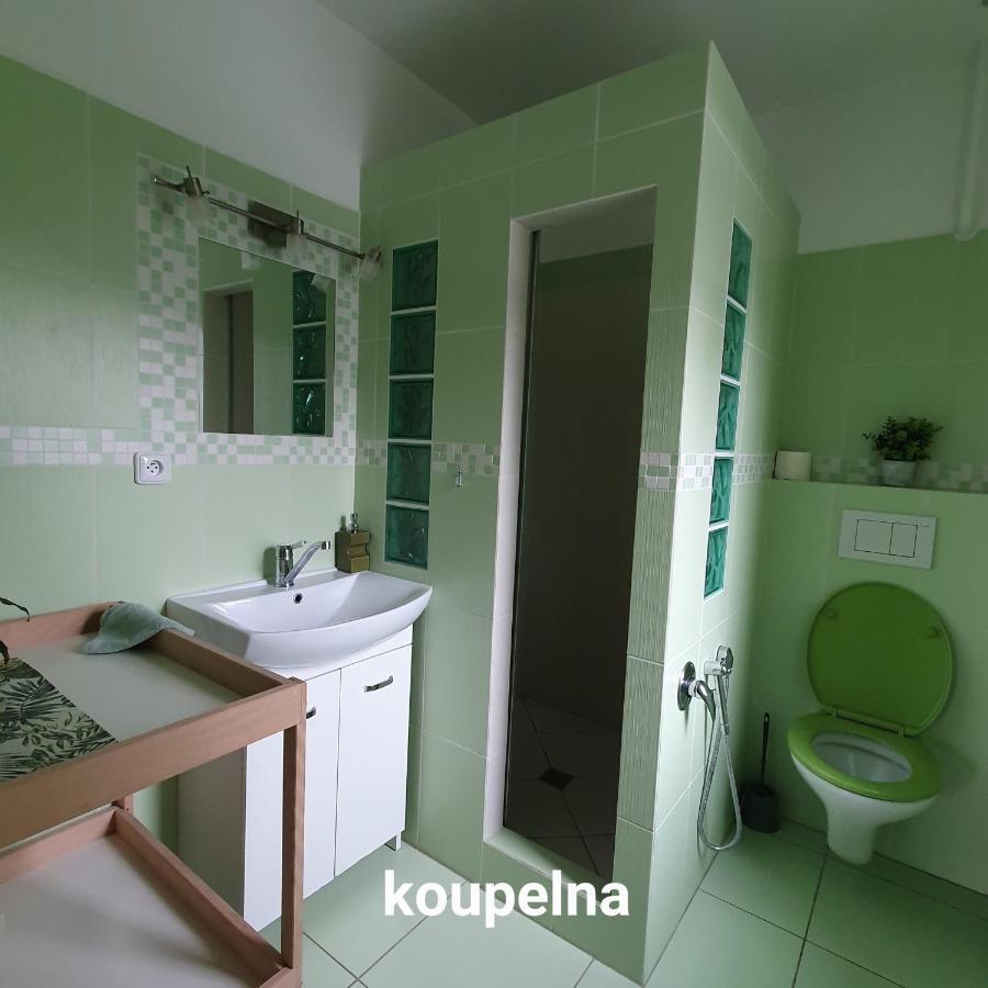 Apartman U Jakuba ดวูร์กราโลเว นัด ลาเบม ภายนอก รูปภาพ